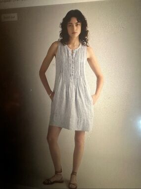 Quince 100% Linen Sleeveless Swing Dress in Blue Pinstripe, size Large